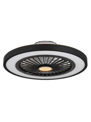 Globo lighting Deckenventilator "BLIZZAK" in black