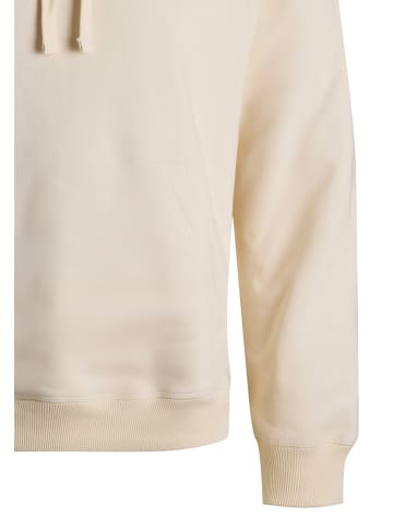 Jack & Jones Sweatshirt / Hoodie Norrebro in Antique white