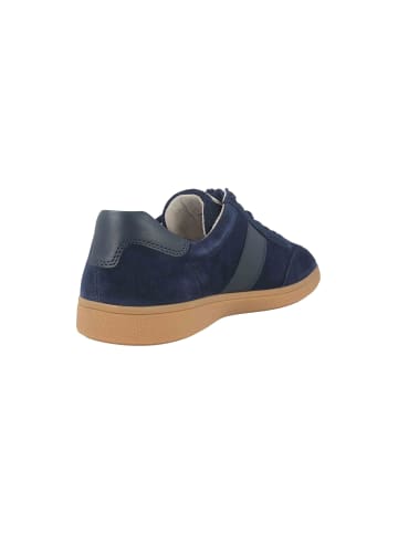 Pius Gabor Sneaker in Blau