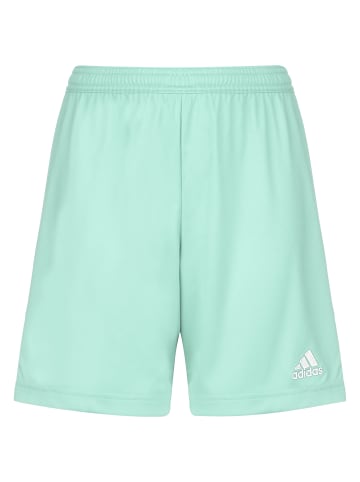 adidas Performance Trainingsshorts Entrada 22 in mint