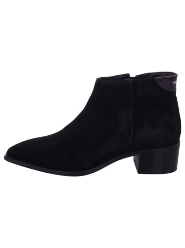 Hamm Stiefeletten in schwarz