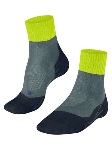 Falke Socken 1er Pack in Grau/Hellgrün