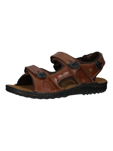 Hush Puppies Sandalen in Braun