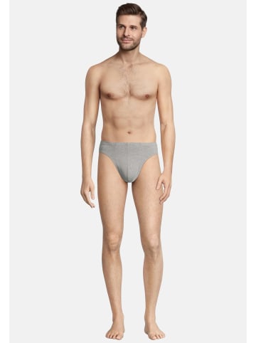 Seidensticker Mini Slip / Unterhose Pur in Mehrfarbig