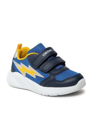 Geox Boy - in Royal/Navy