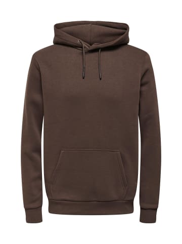 Only&Sons Hoodie 'Ceres' in braun
