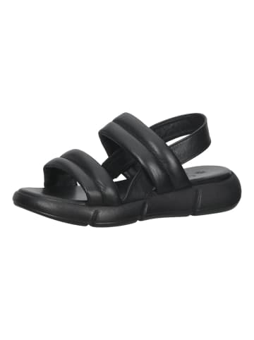 ILC Sandalen in Schwarz