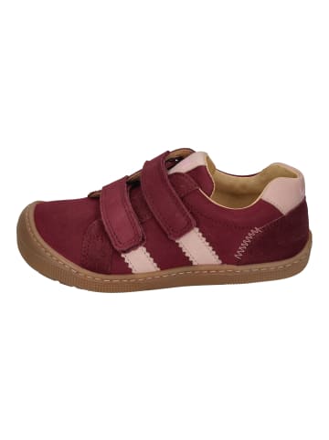 KOEL Sneaker Low DENIS NAPPA 2.0 07M031.121-610 in rot