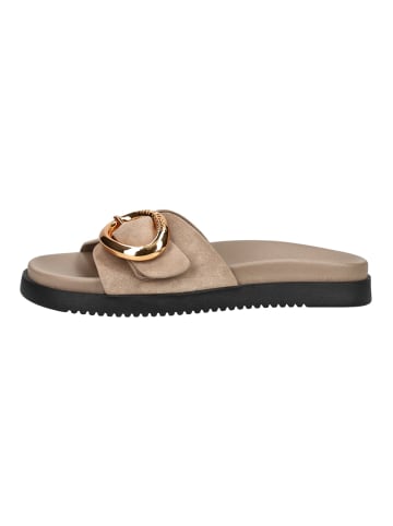 Steve Madden Pantoletten MISTIFY MISTIFY in Taupe