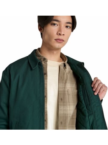 Timberland Jacke "Hollis" in Grün