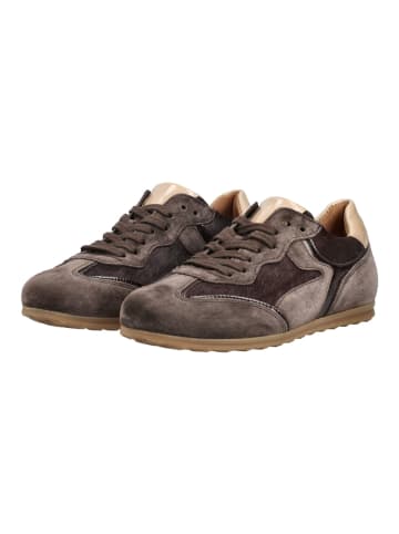 Gabor Sneaker in Mocca
