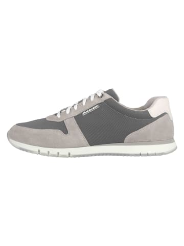 Pius Gabor Sneaker in Grau