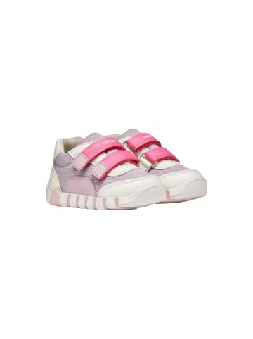 Geox Sneaker Kind aus Leder Lupidoo G A Mesh Geobuck Weiß