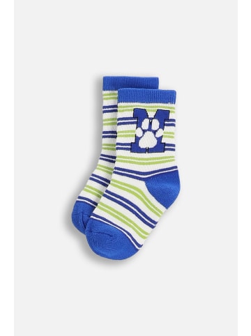 Coccodrillo Socken in bunt