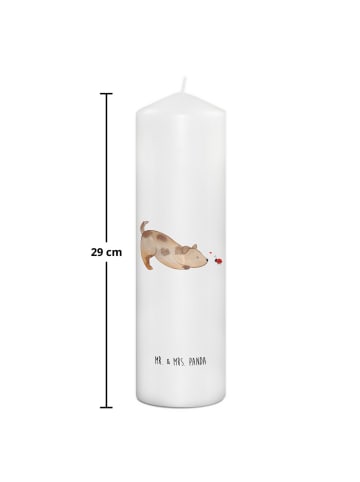Mr. & Mrs. Panda Kerze Hund Marienkäfer ohne Spruch in Weiß