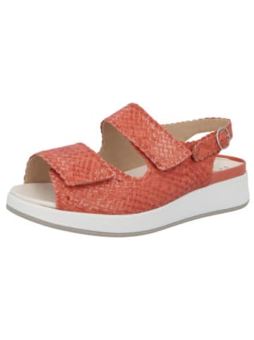Solidus Sandalen für Damen in unifarben in uni
