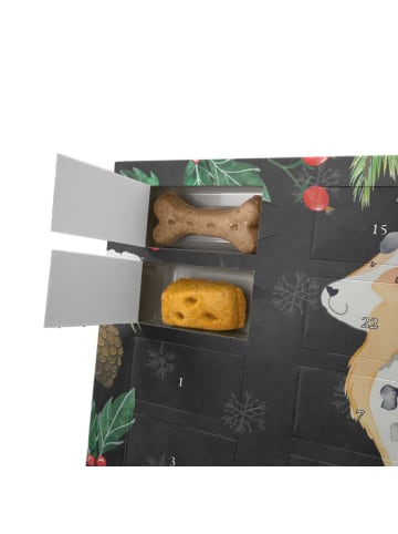Mr. & Mrs. Panda Adventskalender Hund Hund Australien Shepherd m... in Kreidetafel