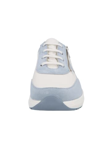 Solidus Sneaker Low in blau