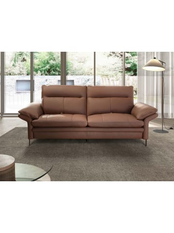 Angel Cerdá Sofa 6241 in Braun / Dunkler Stahl