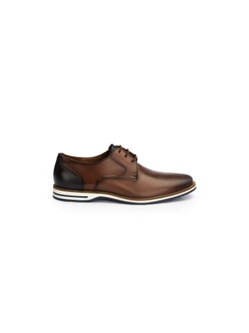 LLOYD Businessschuh ALTON in DK.BROWN/NAVY