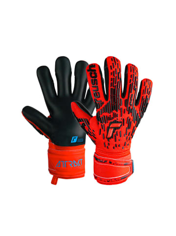 Reusch Torwarthandschuhe Attrakt Freegel Silver Junior in 3333  brig red/futr blu/blck