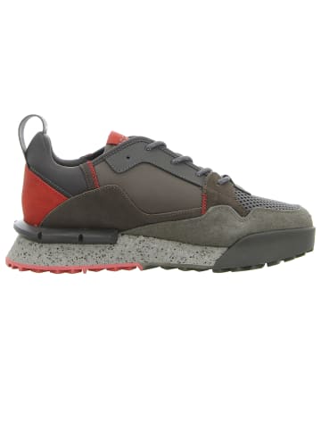 Replay Sneaker Low in grau