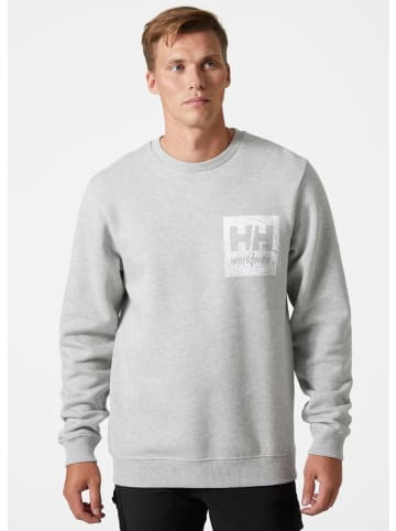 Helly Hansen Pullover "Logo Sweatshirt" in Grau