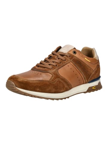 Camel Active Sneaker in Braun