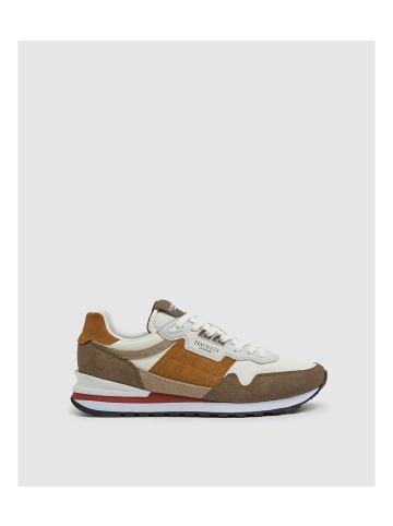 Hackett London Sneakers Telfor in bunt
