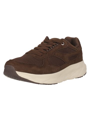 Endurance Laufschuhe Altos in 1065 Chocolate Chip