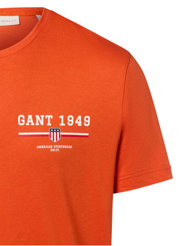 Gant T-Shirt in terra