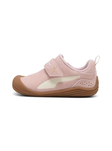 Puma Sneaker "Puma Kitten Premium V Inf" in Pink