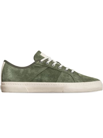 Globe Skaterschuhe Surplus Olive Wolverine