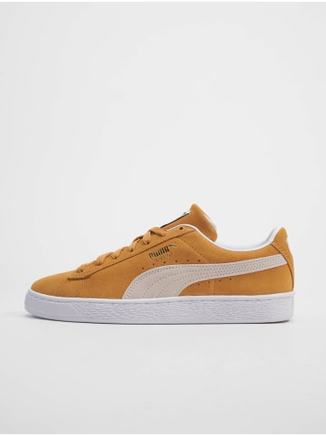 Puma Turnschuhe in honey mustard/puma white