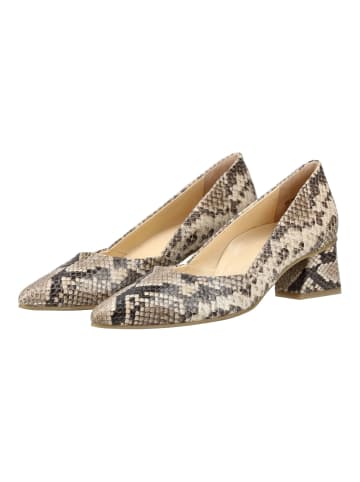 Paul Green Pumps Beige