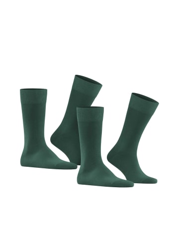 Falke Socken 2er Pack in Dunkelgrün