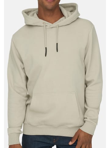 ONLY & SONS Sweatshirt / Hoodie Ceres in Silver lining