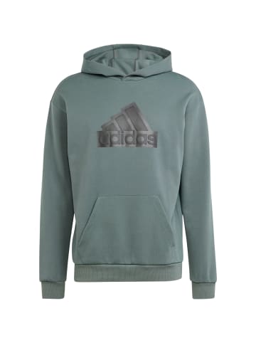 Adidas Sportswear Hoodie Future Icons Badge of Sports in legend ivy