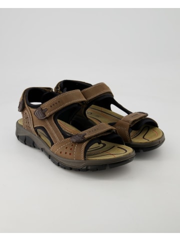 Igi&Co Sandalen in Braun