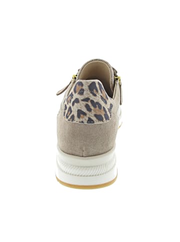 Gabor Comfort Sneaker Beige