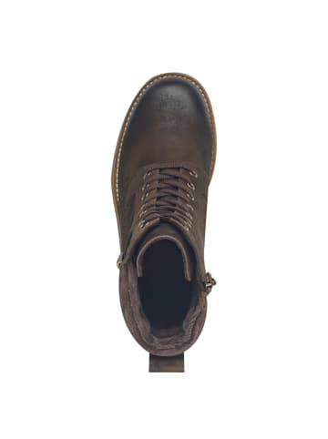 Marco Tozzi Schnürstiefeletten in Braun