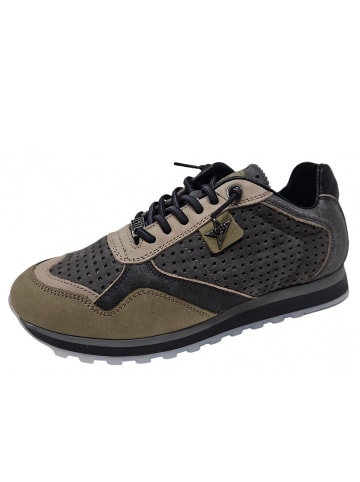 Cetti Sneaker  in Grün