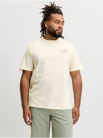 JACK & JONES PLUS T-shirt in Antique White