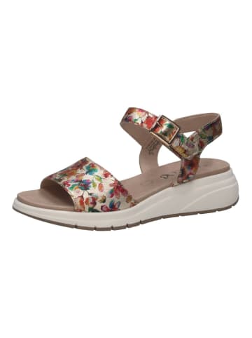 Caprice Sandalen in Multicolor