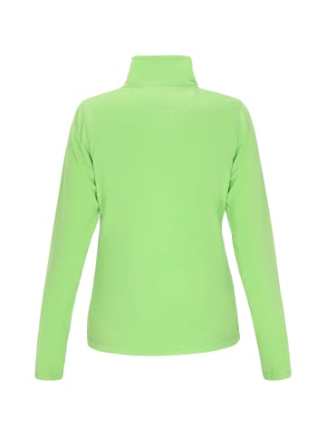 Exide Fleecepullover in Grün