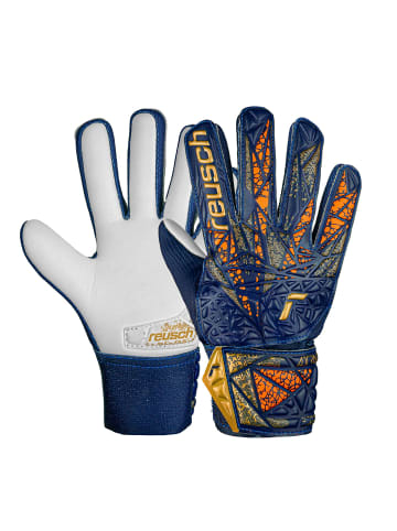 Reusch Torwarthandschuh Attrakt Starter Grip in 4410 premium blue/gold