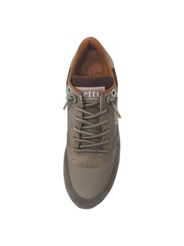 Cetti Sneaker  in Grün
