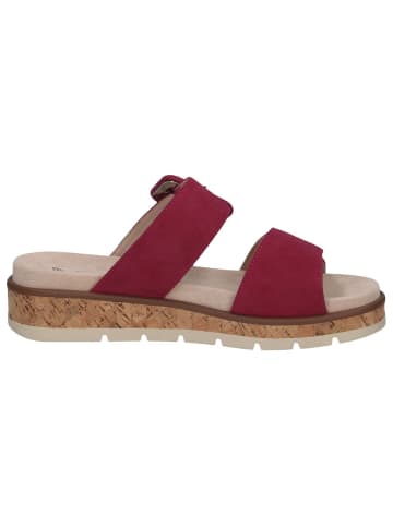 Caprice Pantolette in FUCHSIA SUEDE