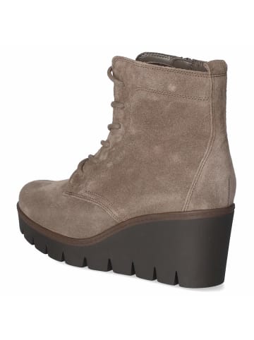 Gabor Schnürstiefel in taupe