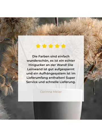 MuchoWow Leinwand bilder Löwenzahn (BxH)